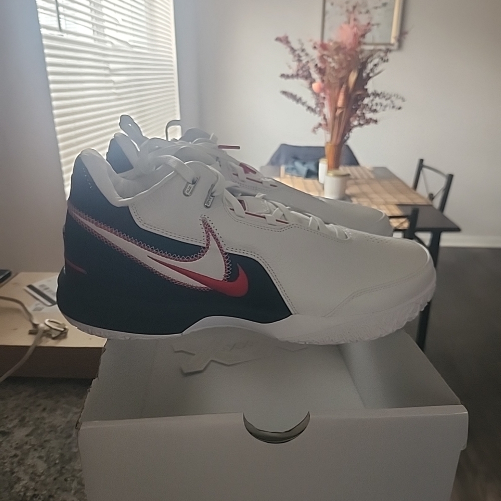 Nike Zoom LeBron NXXT Gen AMPD White Black University Red FJ1566-100 Size 13